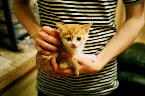 2024年全国象棋业余锦标赛在南京举行,象棋全国锦标赛2020