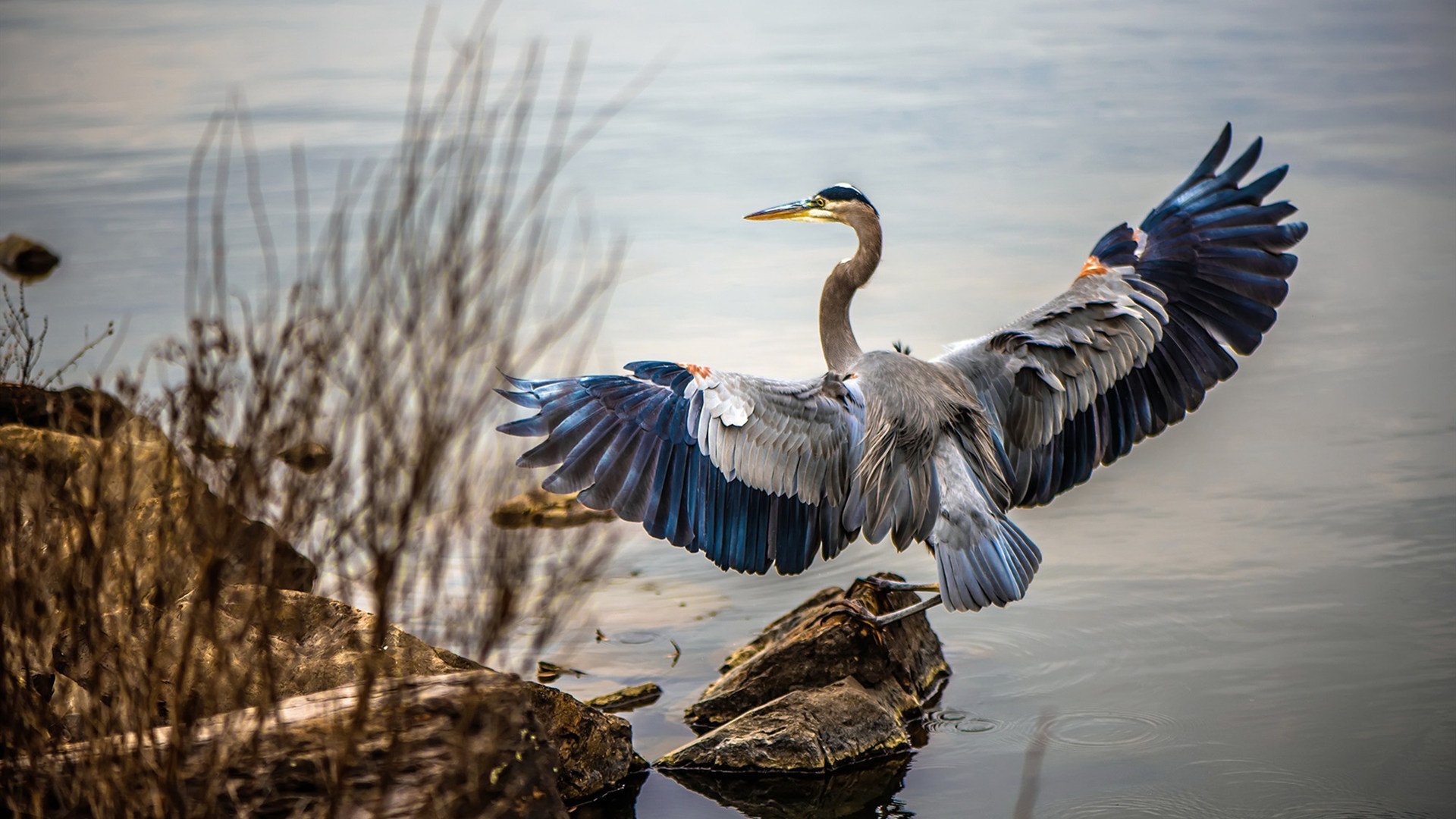 CS2 赛区战队竞争异常激烈,csgo参赛队伍