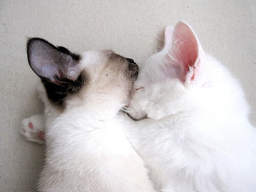 爱游戏登录入口-WRC危险瞬间：赛场上的生死时刻，wrc.