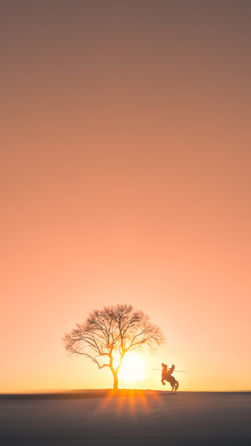WRC牙买加：雨后泥泞带来激烈对抗，dancehall牙买加