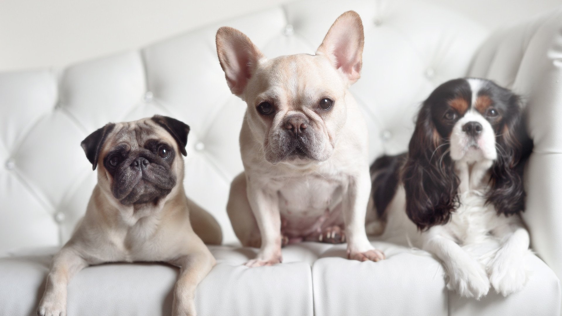 AYX GAME-《硬核玩家的背后：高水平操作的秘密》，硬核玩家怎么描述