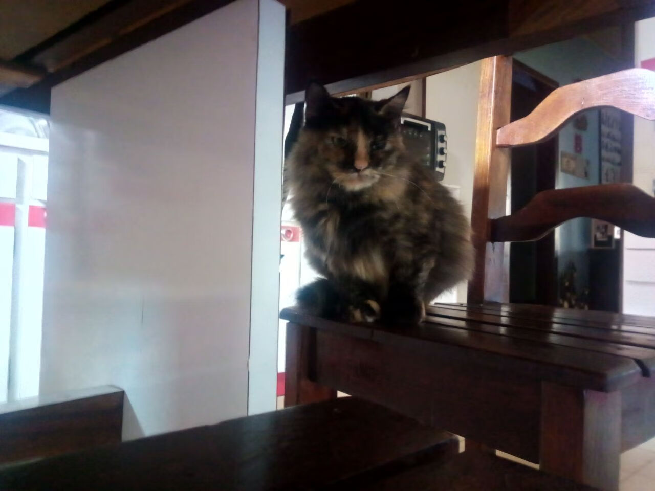 夏季皮划艇比赛,极速穿梭水流,皮划艇挑战赛