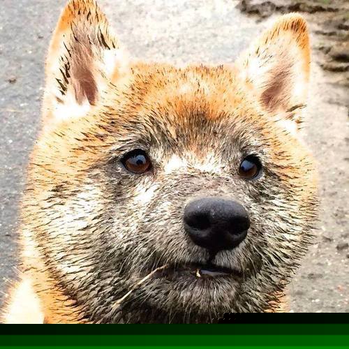 爱游戏体育APP下载-康复背后：如何科学帮助伤员快速复出？，帮助患者康复