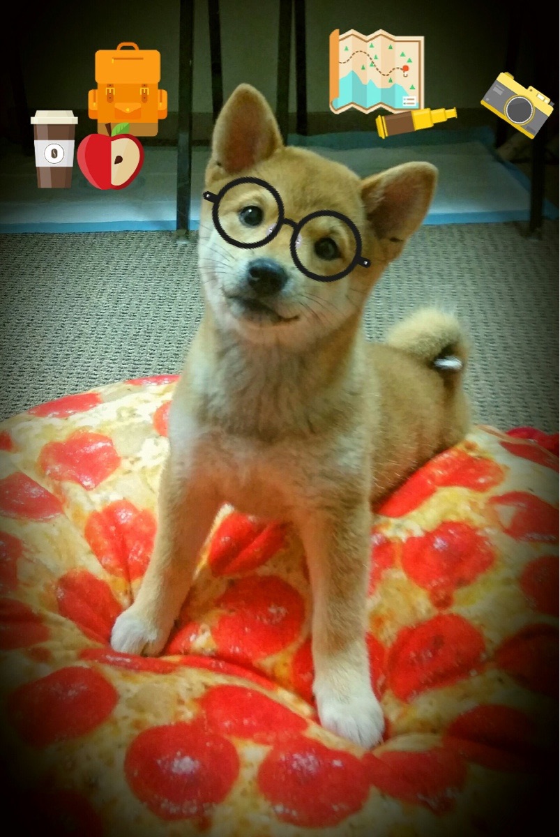 排名风云:本赛季球队实力排行榜揭晓,本赛季球员得分排名