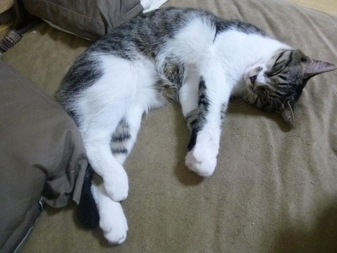 爱游戏体育-比赛总结：团队协作和精准投篮，赢得最终荣誉！，篮球团队协作的重要性