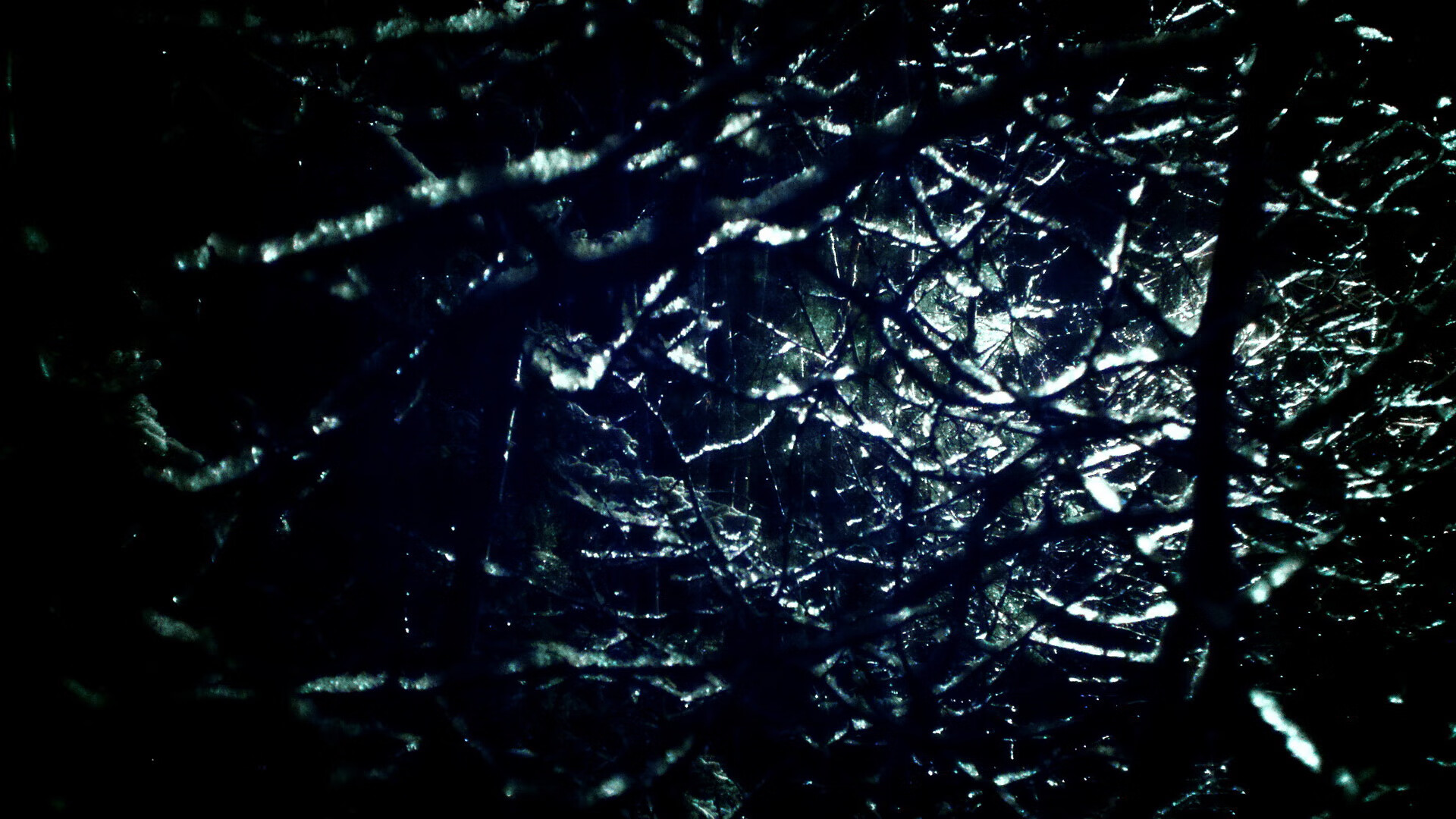 爱游戏登录入口-特色秋季森林跑，感受自然的美丽与运动的快乐，秋季森林下载安装