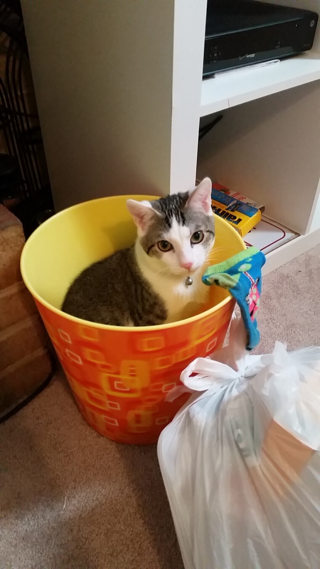 爱游戏登录入口-高校篮球联盟推动青少年素质教育，体育+教育开启“双赢”局面，青少年篮球发展联盟学费