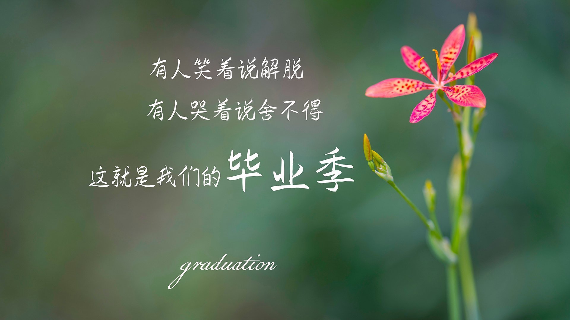 爱游戏电竞官网-克里斯塔尔宫客场战胜富勒姆，积分持续攀升，克里斯 塔克