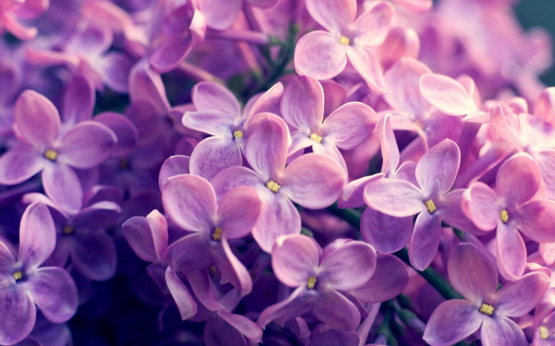 AYX SPORTS-深圳佳兆业将在主场迎战杭州绿城，力争取得宝贵的分！，深圳佳兆业官方微博