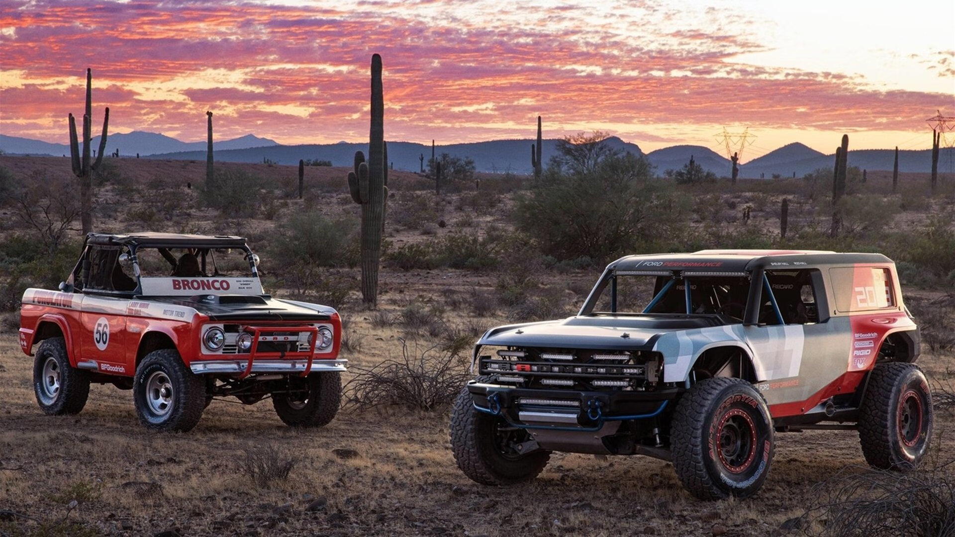 爱游戏体育-灰熊队主帅公开批评球员！气氛紧张！，2021灰熊队