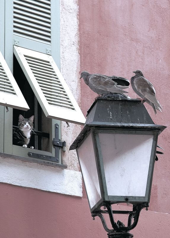 电竞职业选手的身体康复训练方案,电竞队康复