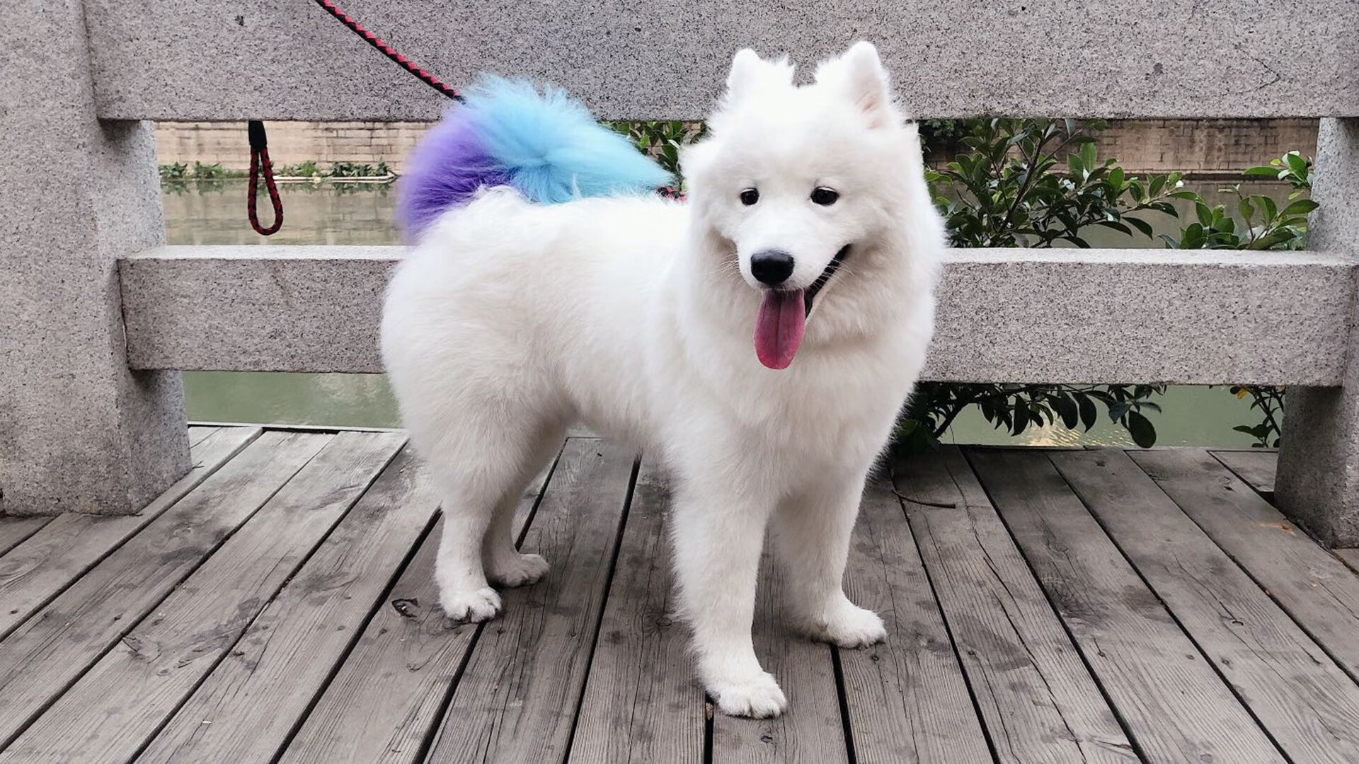 爱游戏娱乐网址-训练师技术受到质疑，球队状态出现大起大落，训练师是什么职业