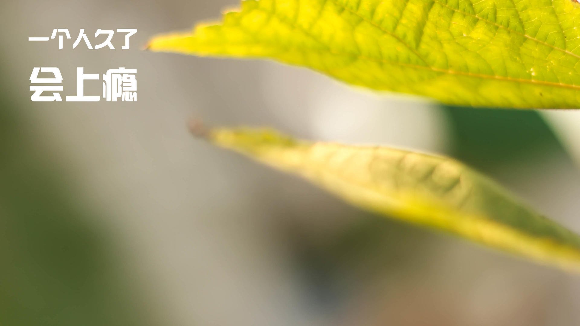 爱游戏中国官方网站平台-雷丁攻守转换迅速，皇家军团稳步攀升，雷丁带什么兵