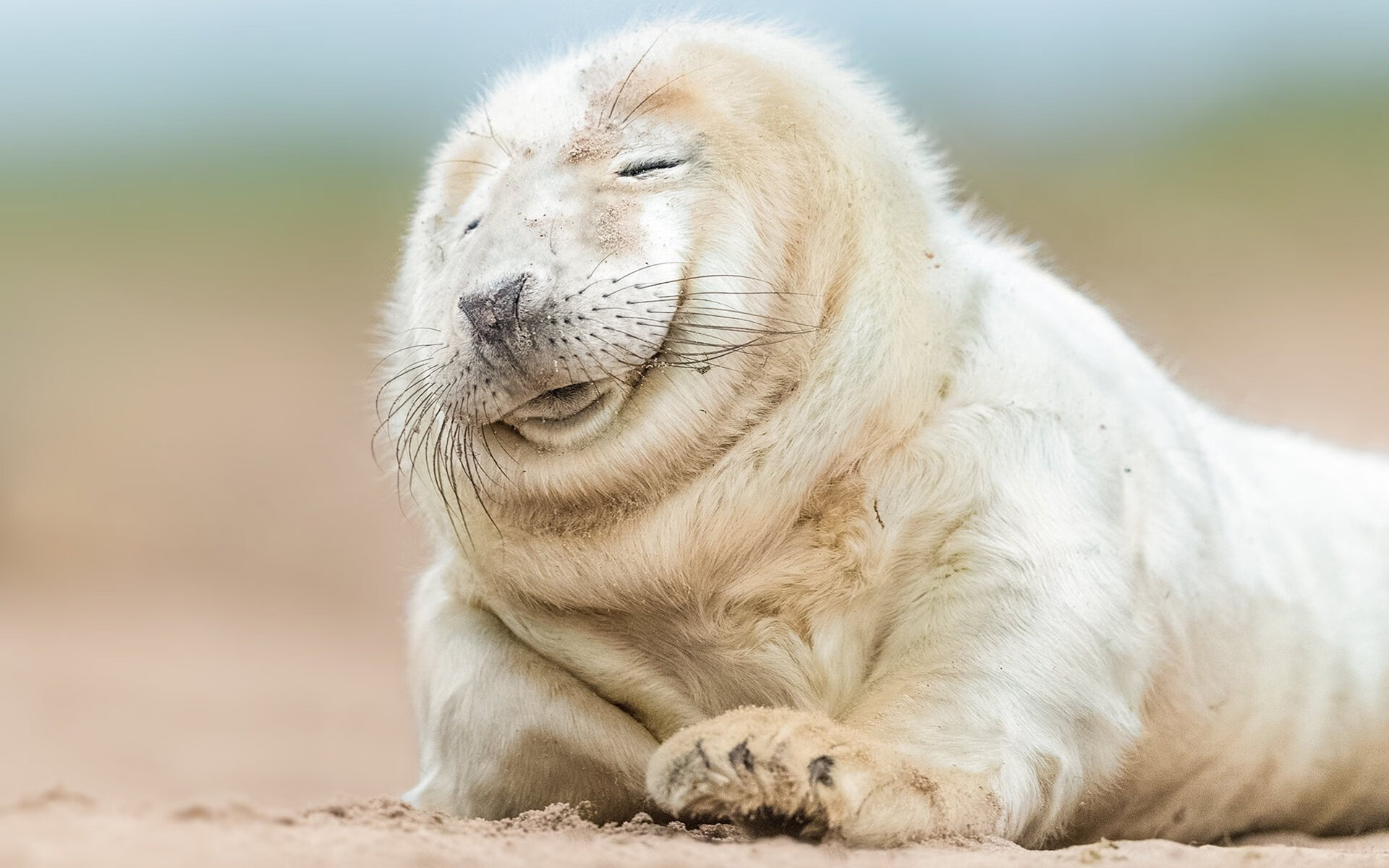 体育场馆安全应急预案,体育场馆安全事项清单