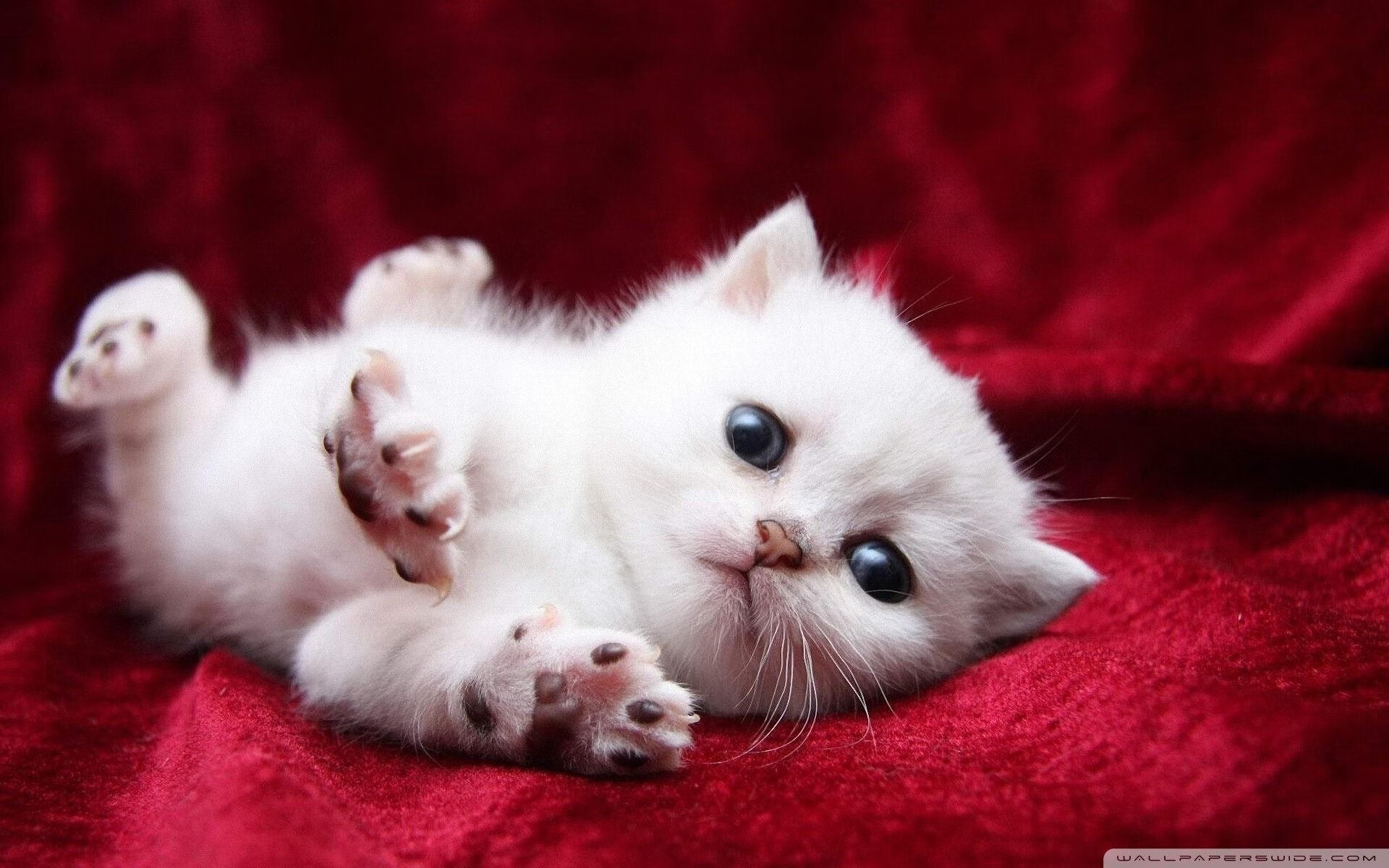 爱游戏下载-欧洲豪门“厮杀”：皇马、拜仁、曼城火拼季