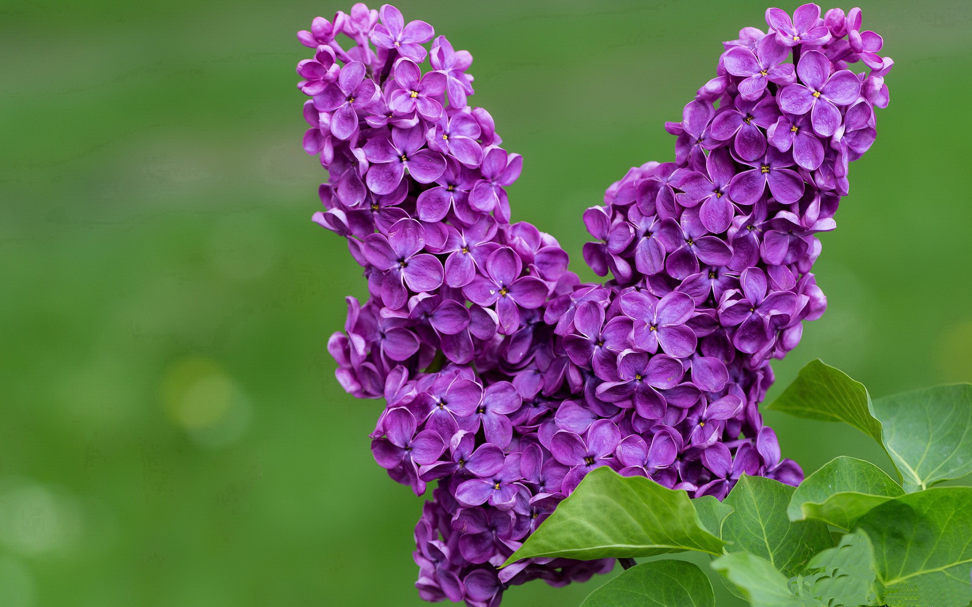 爱游戏体育（AYX）官方APP下载-国家队战术创新机制缺乏，国家队战术创新机制缺乏什么能力