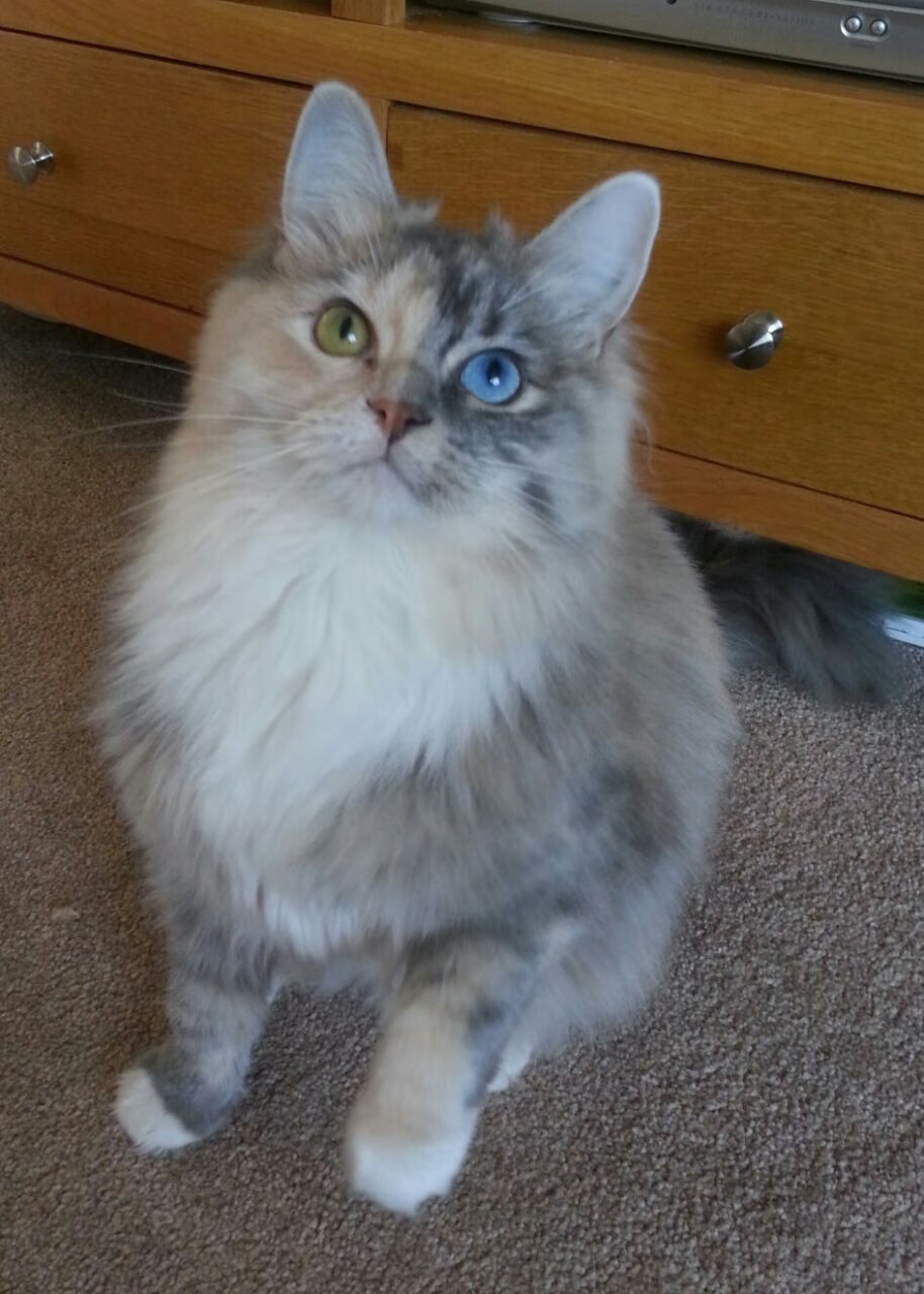 场馆更新换代应用环保节能新技术，场馆智能化改造