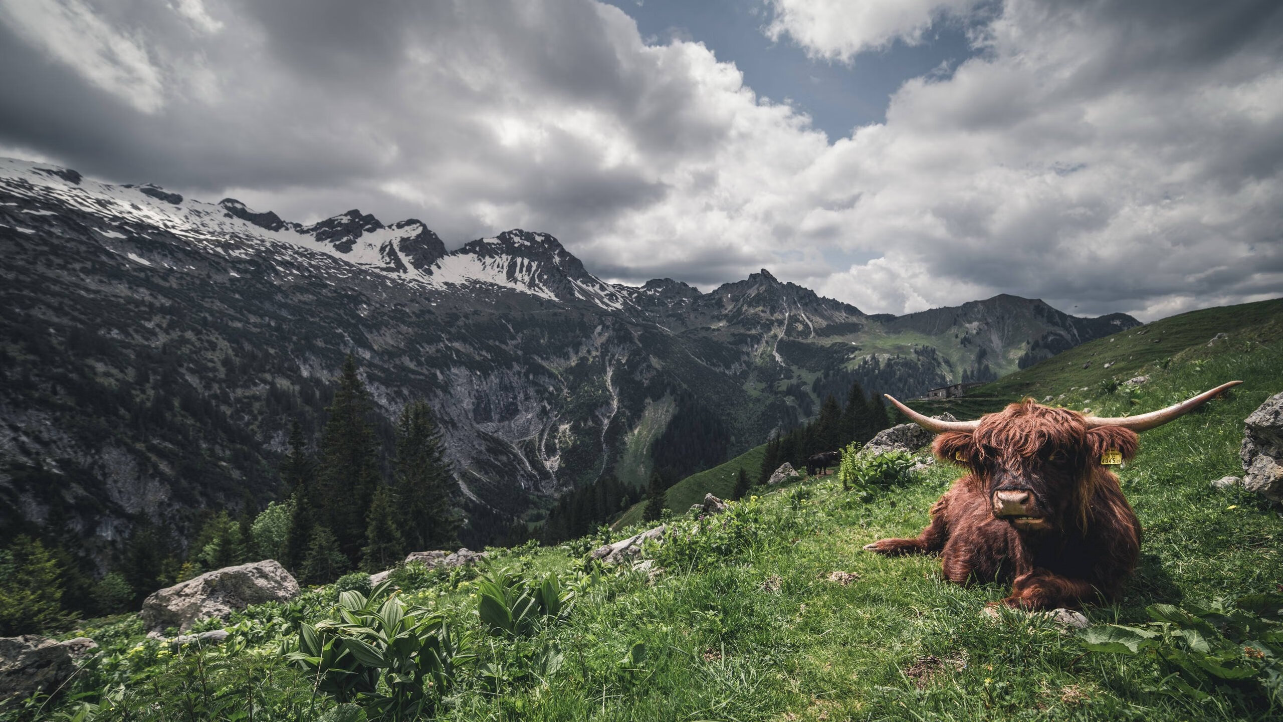 奥运村设施完善提升运动员生活质量，奥运村工作人员