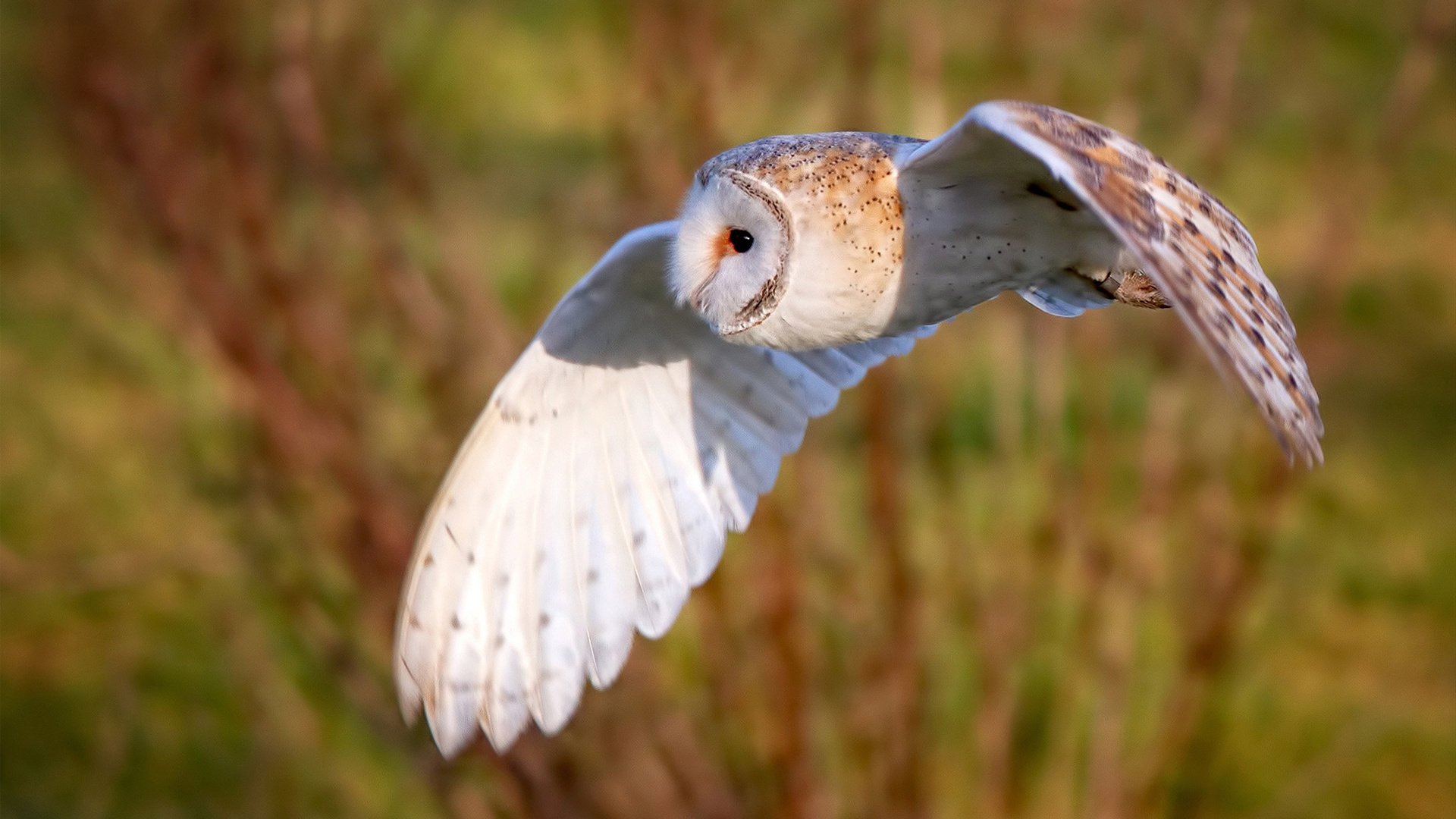 AYX体育官网-奥预赛国家队惨败 球迷反思训练方法，国奥踢联赛
