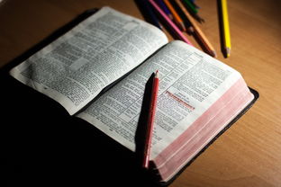 爱游戏体育app-体育教师能力认证制度在试点城市启动，体育教师资格证认定条件