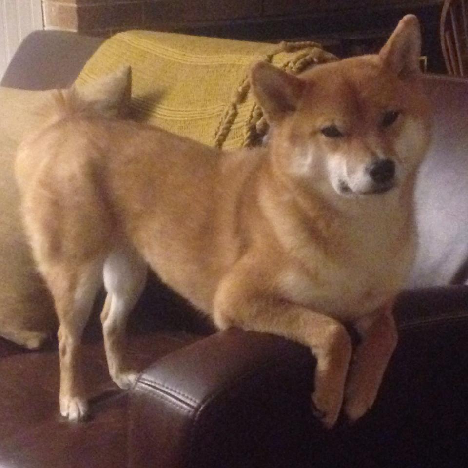 爱游戏在线登录入口-决赛焦点：赫梅列夫斯基保持高节奏，赫梅利尼茨基电影