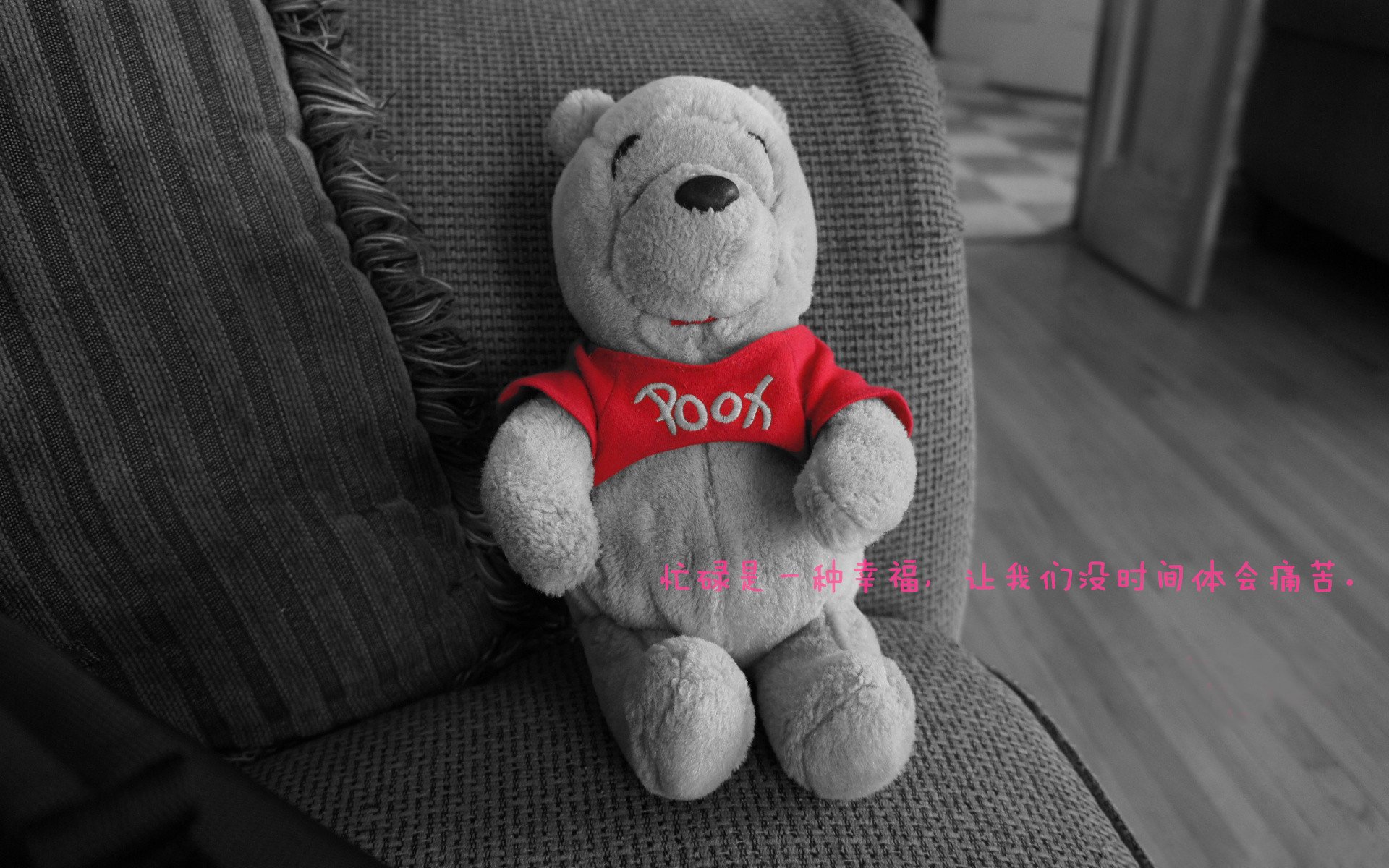 李娜直播中解答球迷关于职业规划问题,李娜为自己打球