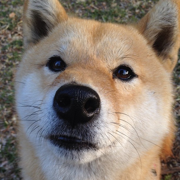 青少年足球夏令营结合科技体验,激发孩子创意与运动热情,青少年校园足球夏令营最佳阵容名单出炉啦