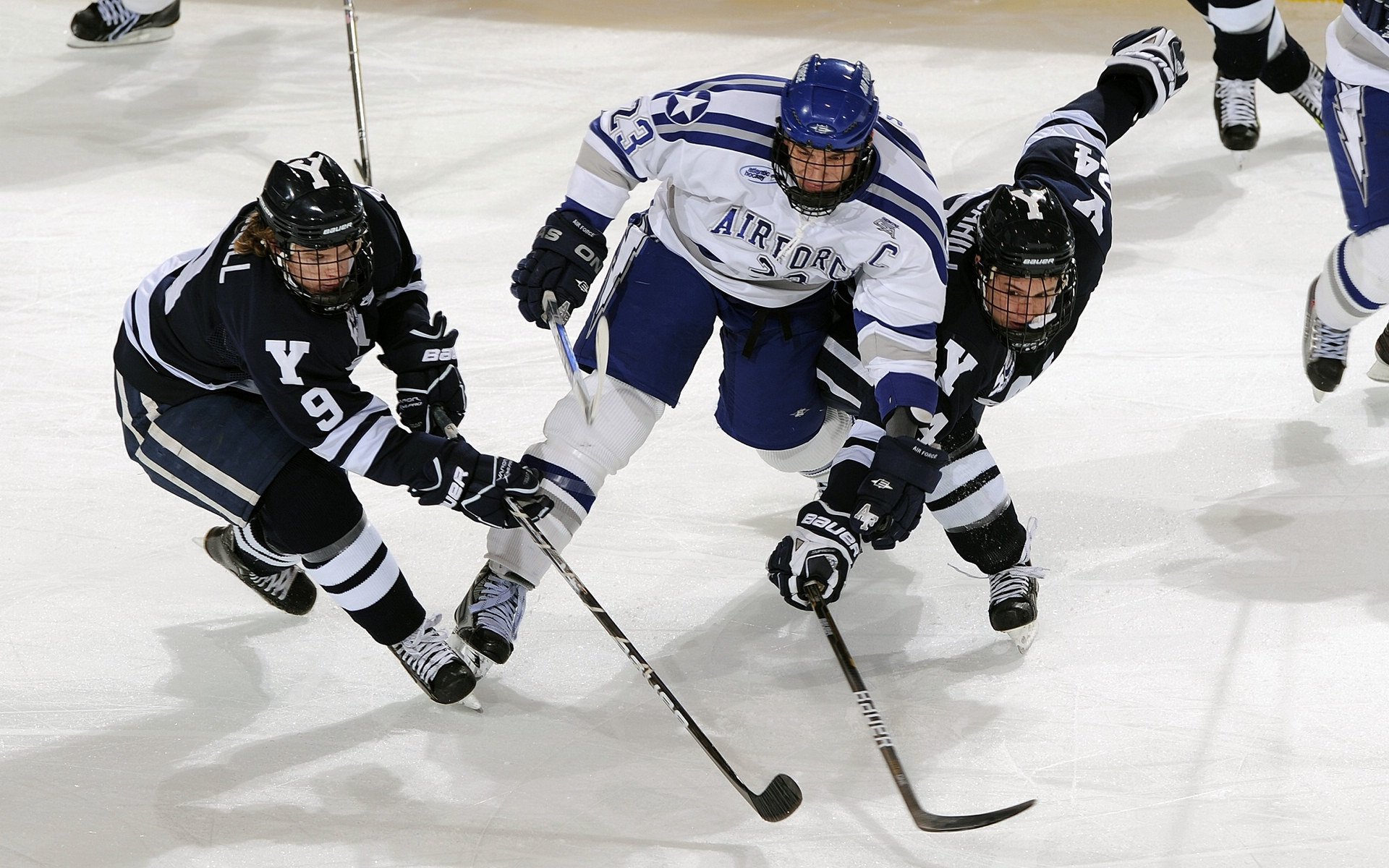 “德甲争冠集团压力剧增，场面火爆”，德甲冠军数排名